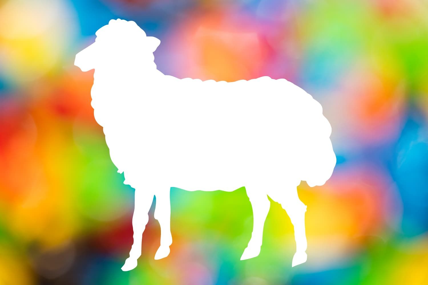 colour%20in%20the%20lamb-20f27542 Mourning / grief
