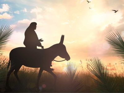 Lesson%20-%20NT%20Easter%2002%20-%20Palm%20Sunday%202%20Humble%20on%20a%20donkey-283e5813  Lesson - NT: Easter 02 - Palm Sunday 2: Humble on a donkey (15 activities) 