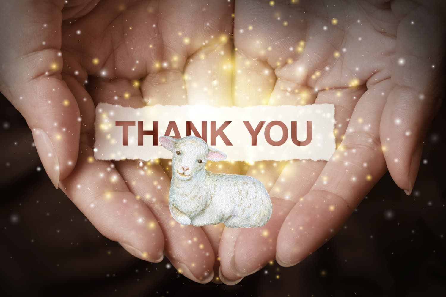 Thankful%20for%20the%20lamb-3f20e711 Mourning / grief