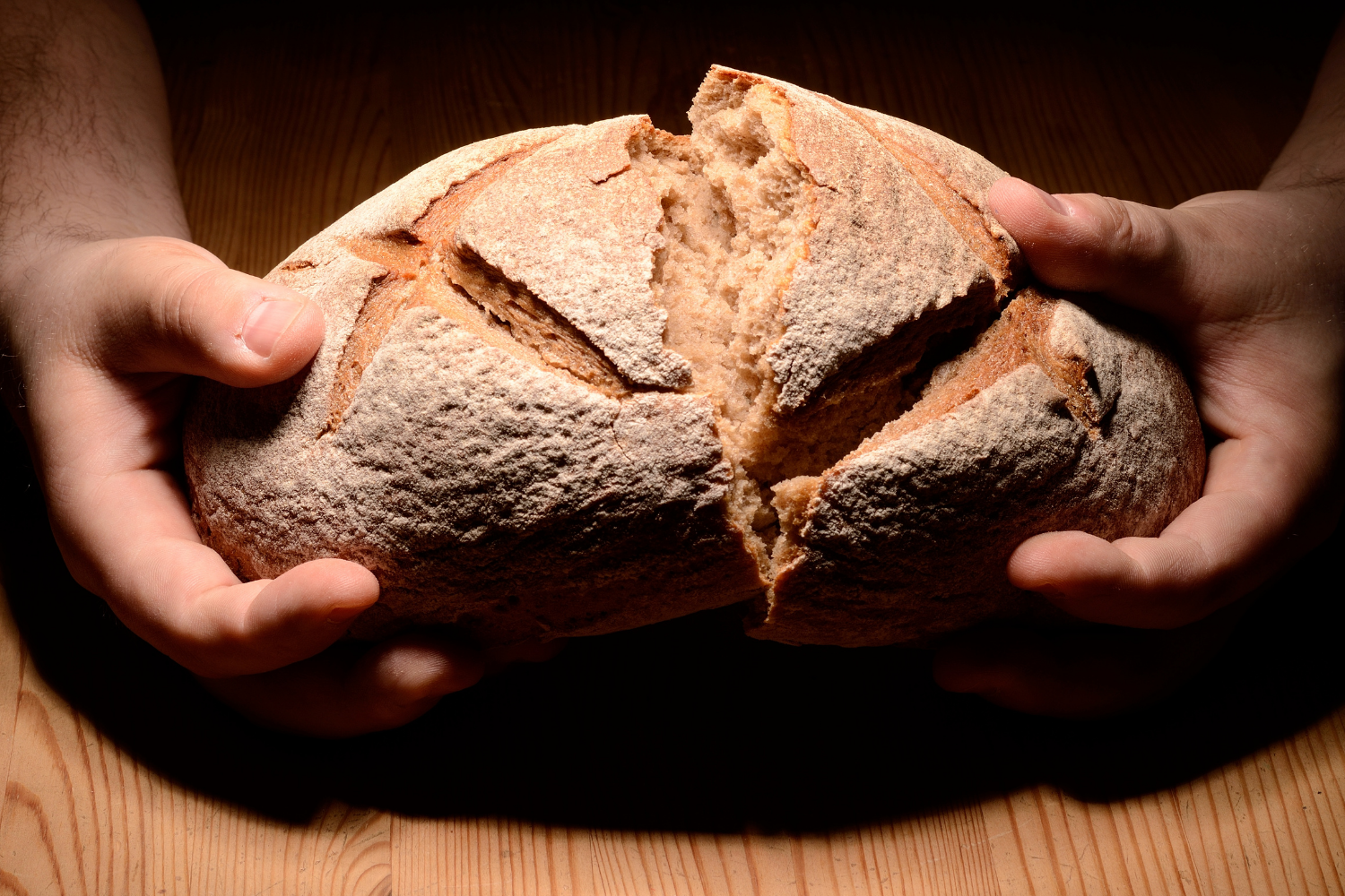 165-bd59d41a Bread / manna