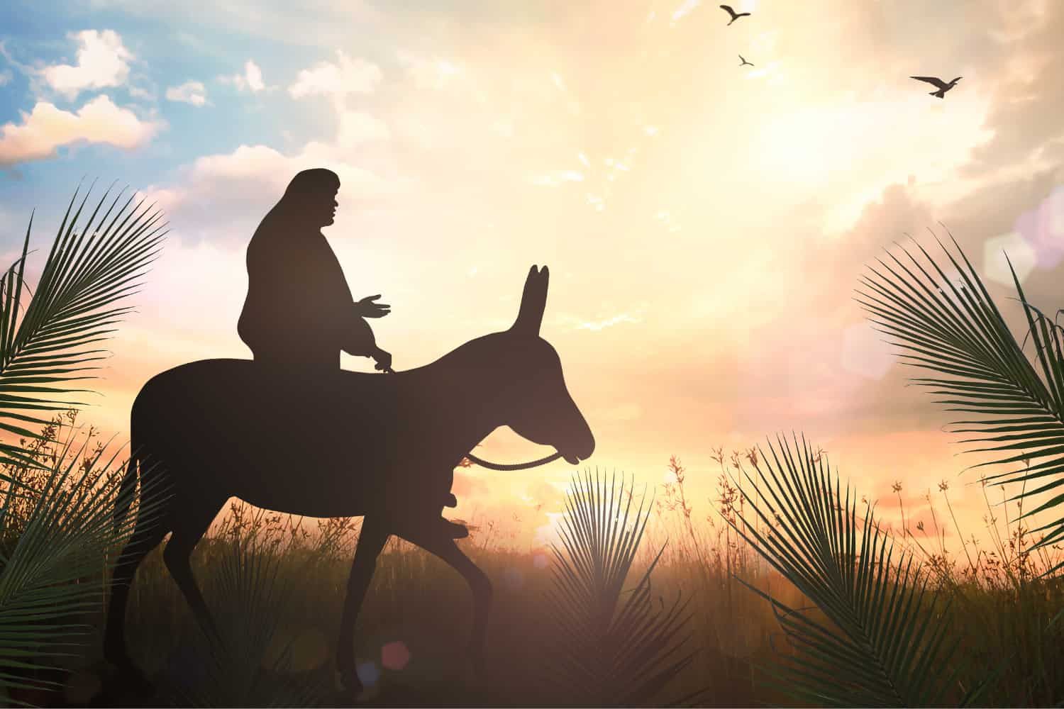 Lesson%20-%20NT%20Easter%2002%20-%20Palm%20Sunday%202%20Humble%20on%20a%20donkey-c3dfbb64 Easter: Holy Week